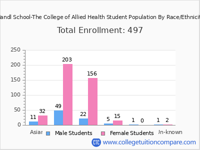 Mandl School-The College of Allied Health 2025 Student Population by Gender and Race chart