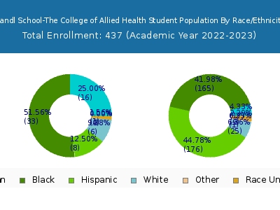 Mandl School-The College of Allied Health 2023 Student Population by Gender and Race chart
