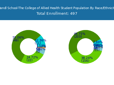 Mandl School-The College of Allied Health 2025 Student Population by Gender and Race chart
