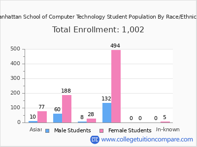 Manhattan School of Computer Technology 2025 Student Population by Gender and Race chart
