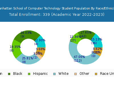 Manhattan School of Computer Technology 2023 Student Population by Gender and Race chart