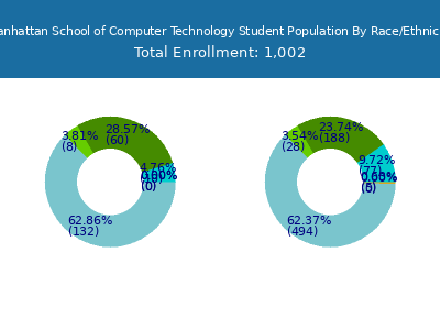 Manhattan School of Computer Technology 2025 Student Population by Gender and Race chart