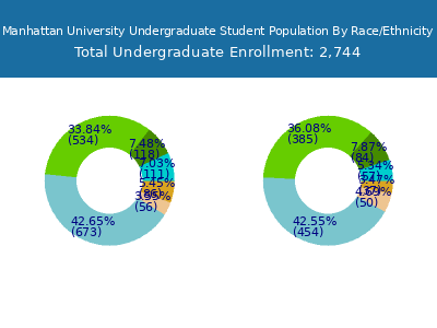 Manhattan University 2025 Undergraduate Enrollment by Gender and Race chart