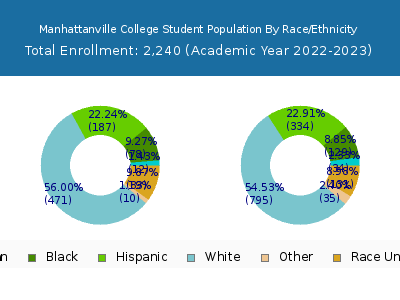 Manhattanville College 2023 Student Population by Gender and Race chart