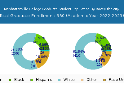 Manhattanville College 2023 Graduate Enrollment by Gender and Race chart
