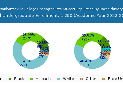 Manhattanville College 2023 Undergraduate Enrollment by Gender and Race chart