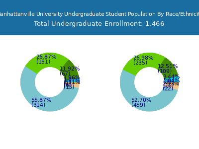 Manhattanville University 2025 Undergraduate Enrollment by Gender and Race chart