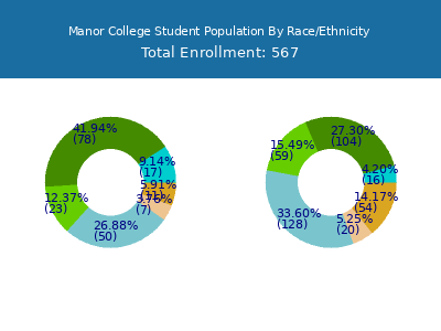 Manor College 2025 Student Population by Gender and Race chart