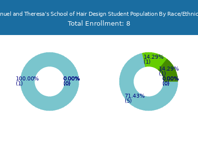 Manuel and Theresa's School of Hair Design 2025 Student Population by Gender and Race chart