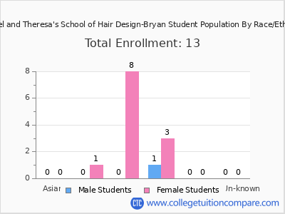 Manuel and Theresa's School of Hair Design-Bryan 2025 Student Population by Gender and Race chart