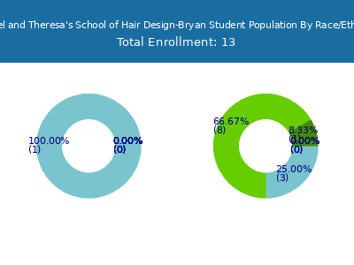 Manuel and Theresa's School of Hair Design-Bryan 2025 Student Population by Gender and Race chart