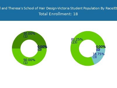 Manuel and Theresa's School of Hair Design-Victoria 2025 Student Population by Gender and Race chart