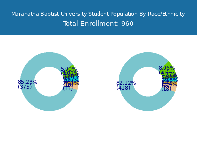 Maranatha Baptist University 2025 Student Population by Gender and Race chart