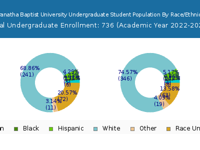 Maranatha Baptist University 2023 Undergraduate Enrollment by Gender and Race chart