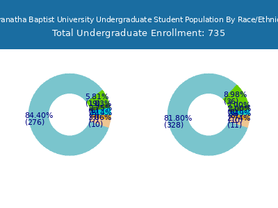 Maranatha Baptist University 2025 Undergraduate Enrollment by Gender and Race chart