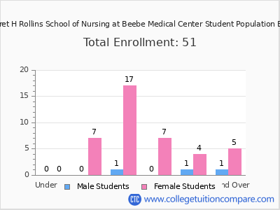 Margaret H Rollins School of Nursing at Beebe Medical Center 2024 Student Population by Age chart