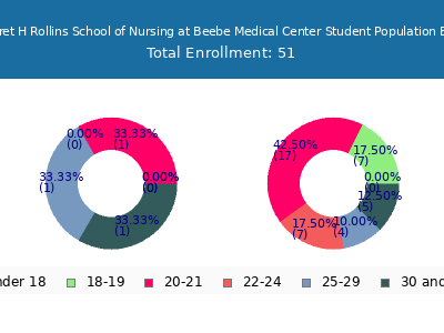 Margaret H Rollins School of Nursing at Beebe Medical Center 2024 Student Population Age Diversity Pie chart