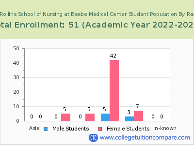 Margaret H Rollins School of Nursing at Beebe Medical Center 2023 Student Population by Gender and Race chart