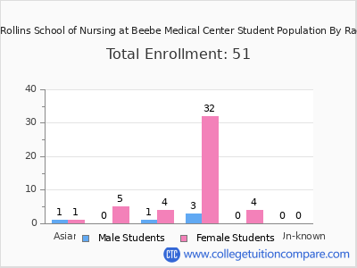 Margaret H Rollins School of Nursing at Beebe Medical Center 2025 Student Population by Gender and Race chart