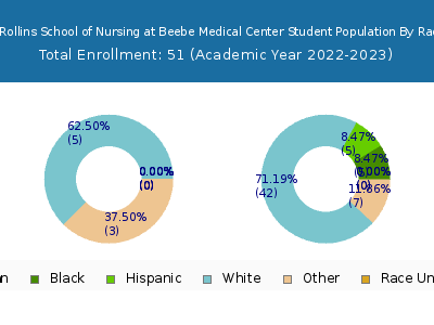 Margaret H Rollins School of Nursing at Beebe Medical Center 2023 Student Population by Gender and Race chart