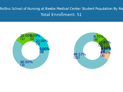 Margaret H Rollins School of Nursing at Beebe Medical Center 2025 Student Population by Gender and Race chart