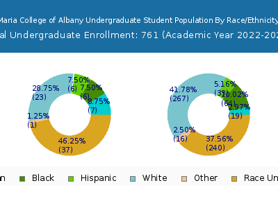 Maria College of Albany 2023 Undergraduate Enrollment by Gender and Race chart
