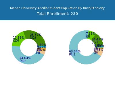 Marian University-Ancilla 2025 Student Population by Gender and Race chart