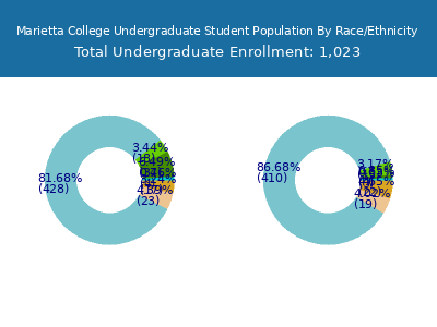 Marietta College 2025 Undergraduate Enrollment by Gender and Race chart