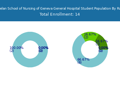 Marion S Whelan School of Nursing of Geneva General Hospital 2025 Student Population by Gender and Race chart