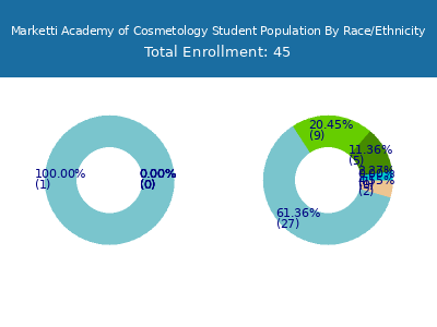 Marketti Academy of Cosmetology 2025 Student Population by Gender and Race chart