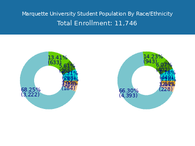 Marquette University 2025 Student Population by Gender and Race chart