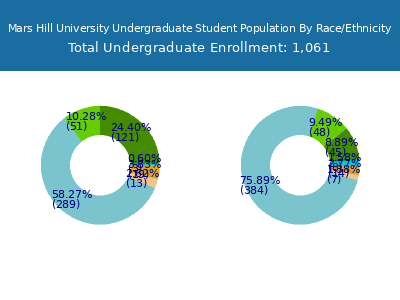 Mars Hill University 2025 Undergraduate Enrollment by Gender and Race chart