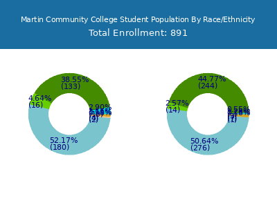 Martin Community College 2025 Student Population by Gender and Race chart