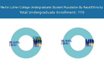Martin Luther College 2025 Undergraduate Enrollment by Gender and Race chart