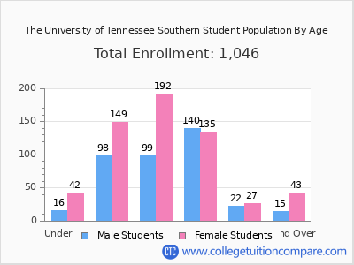 The University of Tennessee Southern 2024 Student Population by Age chart