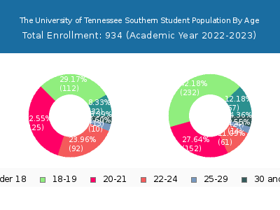 The University of Tennessee Southern 2023 Student Population Age Diversity Pie chart
