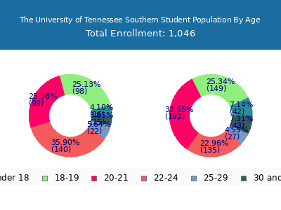 The University of Tennessee Southern 2024 Student Population Age Diversity Pie chart