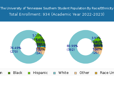 The University of Tennessee Southern 2023 Student Population by Gender and Race chart