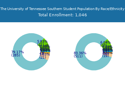 The University of Tennessee Southern 2025 Student Population by Gender and Race chart