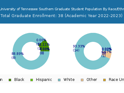 The University of Tennessee Southern 2023 Graduate Enrollment by Gender and Race chart