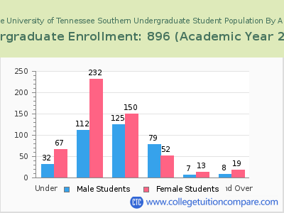The University of Tennessee Southern 2023 Undergraduate Enrollment by Age chart