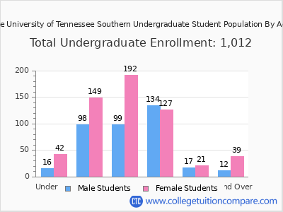 The University of Tennessee Southern 2024 Undergraduate Enrollment by Age chart