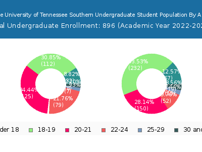 The University of Tennessee Southern 2023 Undergraduate Enrollment Age Diversity Pie chart
