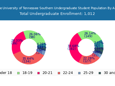 The University of Tennessee Southern 2024 Undergraduate Enrollment Age Diversity Pie chart