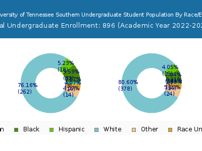 The University of Tennessee Southern 2023 Undergraduate Enrollment by Gender and Race chart