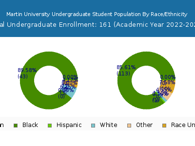 Martin University 2023 Undergraduate Enrollment by Gender and Race chart