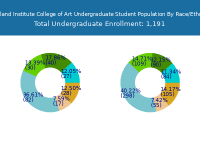 Maryland Institute College of Art 2025 Undergraduate Enrollment by Gender and Race chart