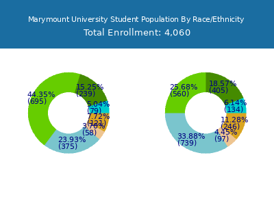 Marymount University 2025 Student Population by Gender and Race chart