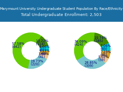 Marymount University 2025 Undergraduate Enrollment by Gender and Race chart