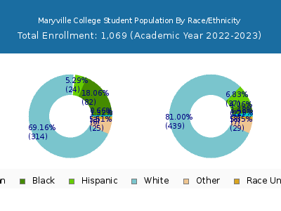 Maryville College 2023 Student Population by Gender and Race chart